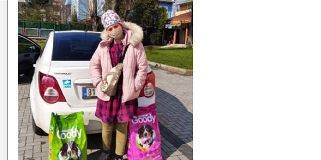 Sokak köpeklerine mama almak şartıyla uzlaştılar