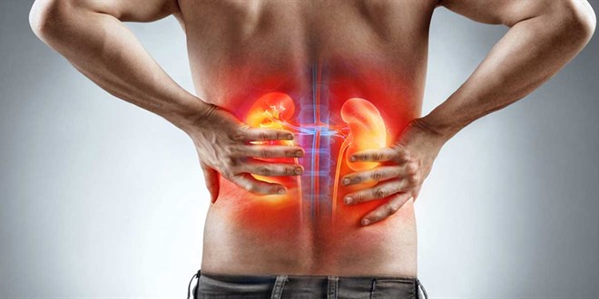 Türkiye'de her 7 kişiden birinde böbrek rahatsızlığı bulunuyor