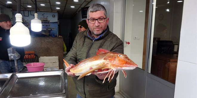 Sinop'ta ağlara takıldı: Kilosu 150 TL'den satılıyor