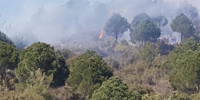 Alanya'da ormanlık alanda yangın