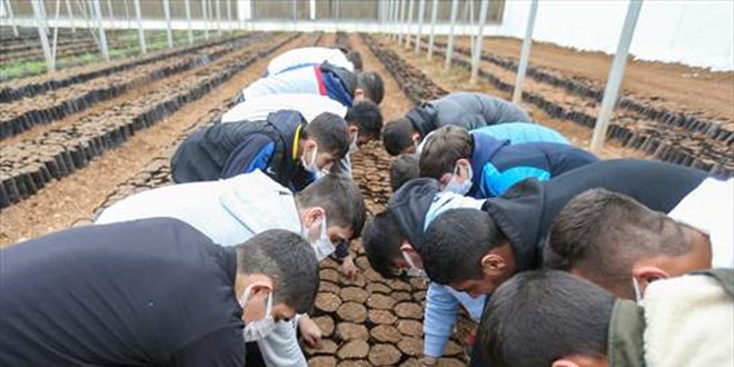 Gaziantep'teki tedavi gören madde bağımlısı gençler fidan dikti