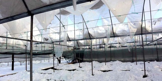 'Seralar kar yandan zarar gren iftilere 50 milyon liralk destek verilecek'