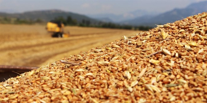 G�da fiyatlar�na zam yolda! Rusya baz� �r�nlerin sat���n� yasaklad�