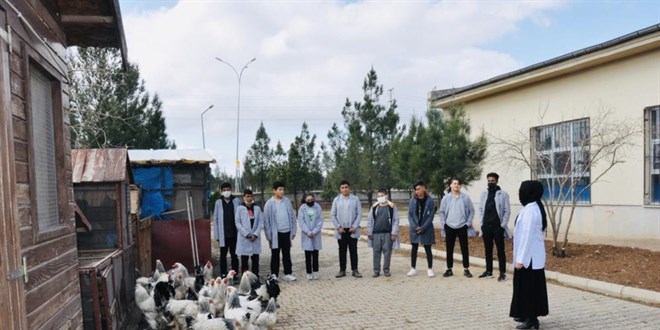 Ders yapmak için ürettiler, okul bahçesini çiftliğe dönüştürdüler