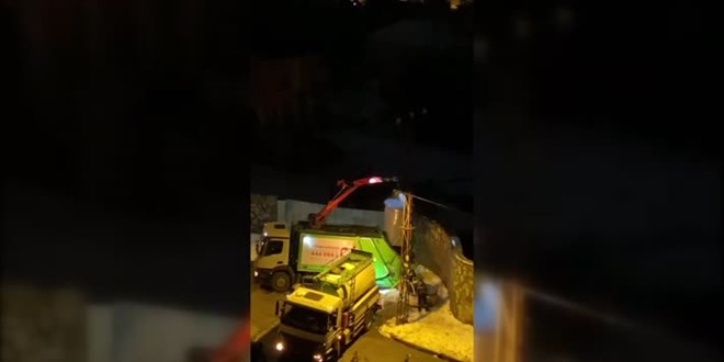 Beykoz'da çöp konteynerinde 19 ölü köpek bulundu