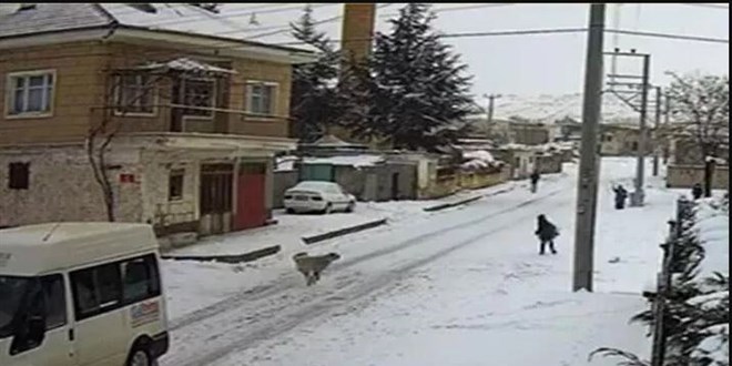 Nevşehir'de dehşet! 8 yaşındaki çocuğa köpek saldırdı