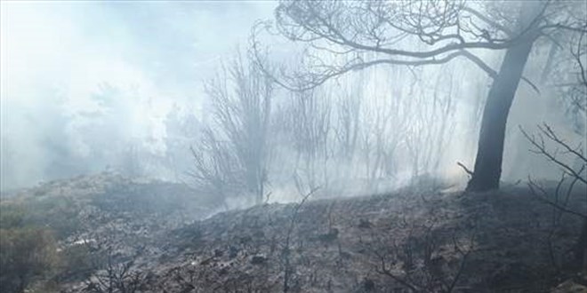 Mu�la'da ��kan orman ve makilik yang�n� s�nd�r�ld�