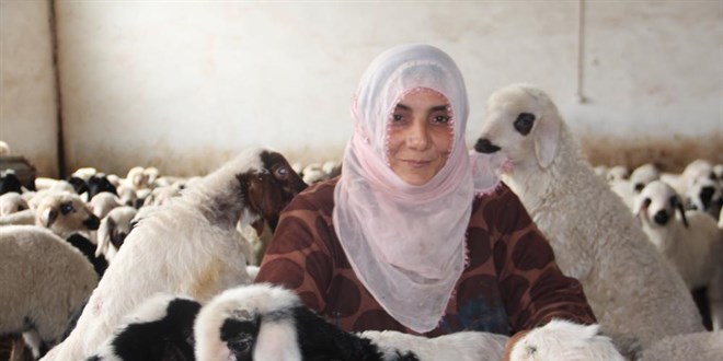 Köye yerleşen 3 çocuk annesi, devletten aldığı destekle çiftlik kurdu