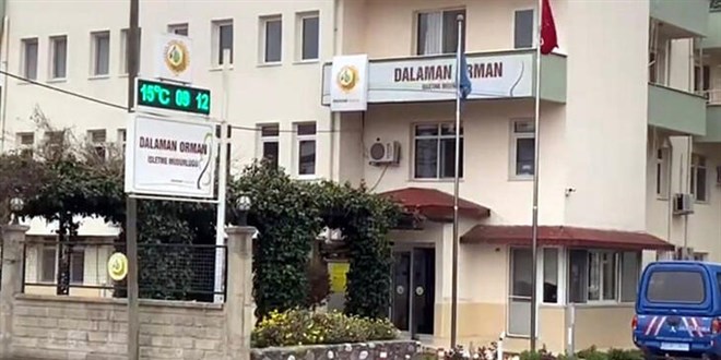 Muğla'da 'rüşvet' operasyonu: Orman işletme müdürü dahil 25 gözaltı