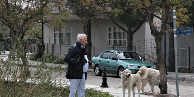 Mahra'nın ölümüne sebep olan köpekler mahallede korku salmaya devam ediyor