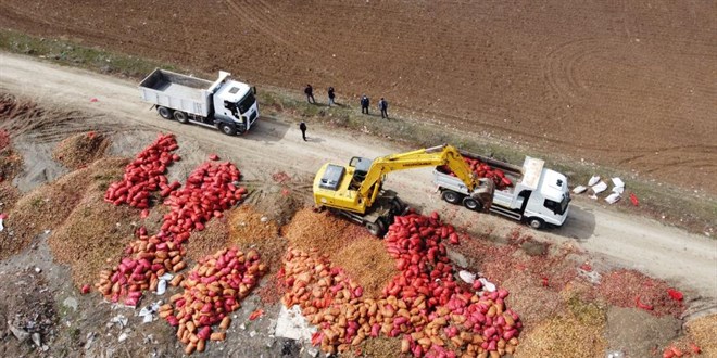 Tonlarca soğan yol kenarına döküldü