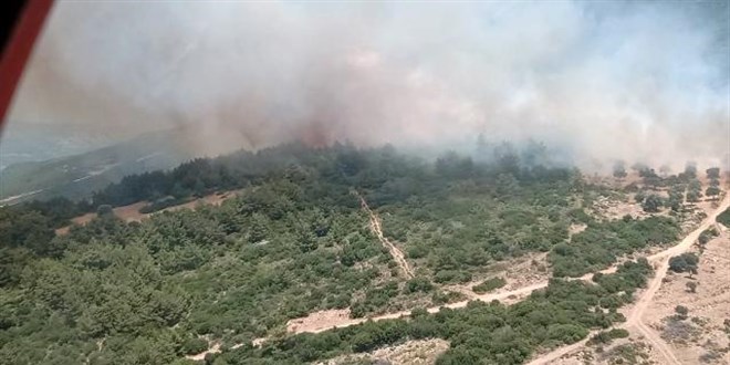 Bursa, anakkale ve Bilecik'teki orman yangnlar kontrol altna alnd