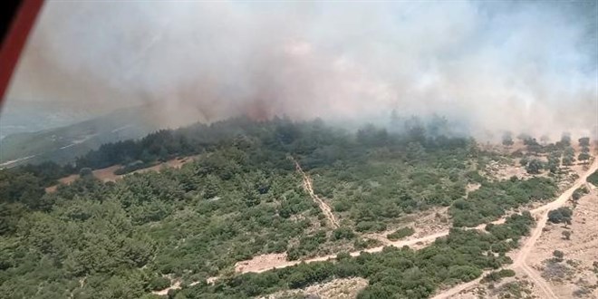 Bursa, Çanakkale ve Bilecik'teki orman yangınları kontrol altına alındı