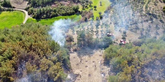 Osmaniye'de çıkan orman yangını kontrol altına alındı