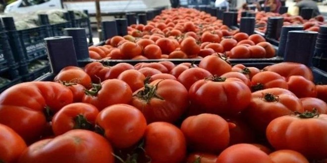 Domates fiyatında son 7 yılın rekoru
