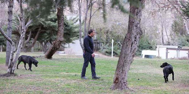 Devlet Arşivleri Başkanlığı, bahçesini sahipsiz hayvanlar için 'açık barınak' haline getirdi