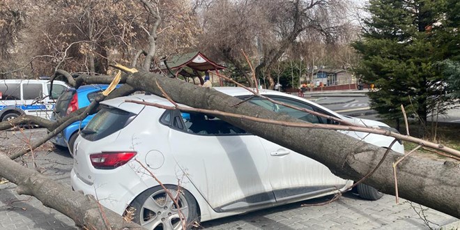 Başkent şiddetli rüzgara teslim! Ağaçlar devrildi
