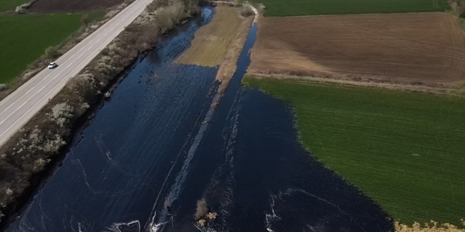 Edirne'de tarım alanlarına sızan zift kontrol altına alındı