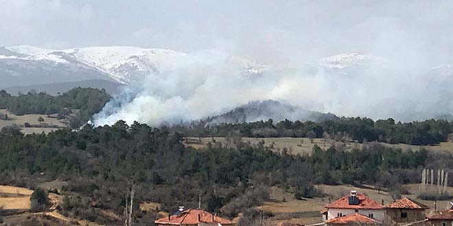 İki ilden orman yangını haberi geldi
