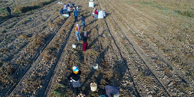 OGM 5 bin Geçici İşçi alacak