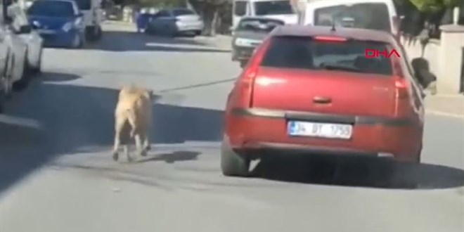 Maltepe'de otomobil sürücüsü iple bağlı köpeğini peşinden koşturdu