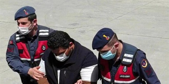 Büyük orman vurgunuyla ilgili müfettiş görevlendirildi