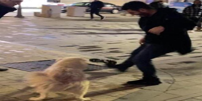 Teravih namazına gelen kişinin ayakkabısını kapıp kaçan köpek gülümsetti