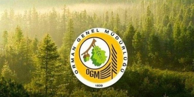 Orman Genel Müdürlüğünün bazı taşra birimlerinde düzenlemeye gidildi