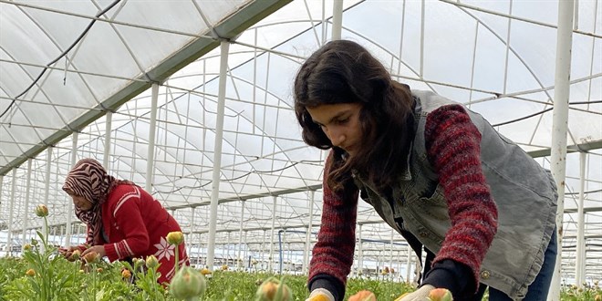 Meslek liseleri para basıyor! Üç ayda yüzde 225 arttı