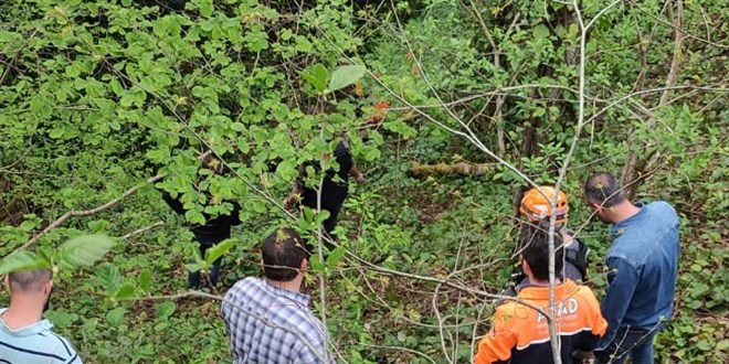 Artvin'de uçuruma yuvarlanan köylü hayatını kaybetti