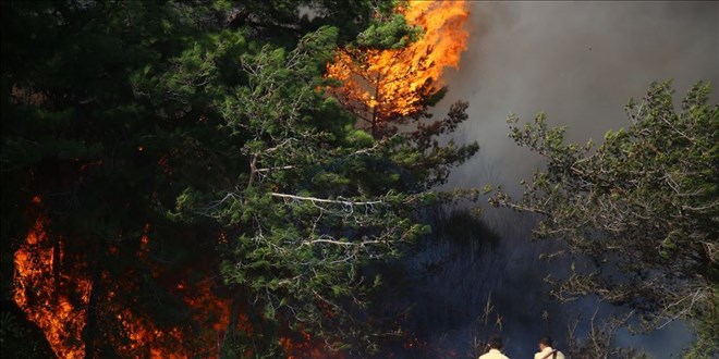 Hatay'daki orman yangınıyla ilgili 2 zanlı tutuklandı