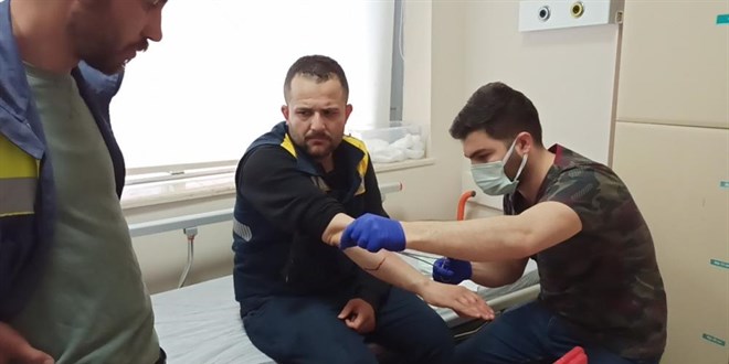 Elektrik da��t�m firmas�n�n g�revlisine k�pekler sald�rd�