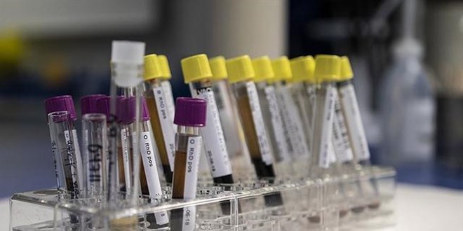 Gizemli hepatit virüsü bir ülkede daha görüldü