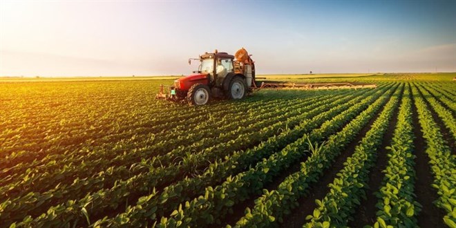 Sebze meyvede fiyat oyunu! Yük çiftçide para aracı ve markette