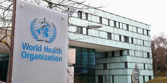 DSÖ, Avrupa ve ABD'de en az 169 "gizemli hepatit" vakasının bulunduğunu bildirdi