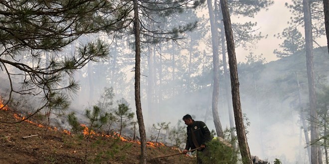 Akli dengesi bozuk ahs orman yakt, 1,9 hektar alan zarar grd