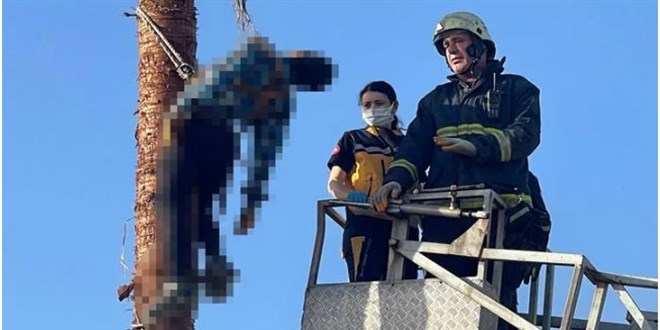 Akıllara durgunluk veren olay! Budamak için çıktı cesedi asılı kaldı