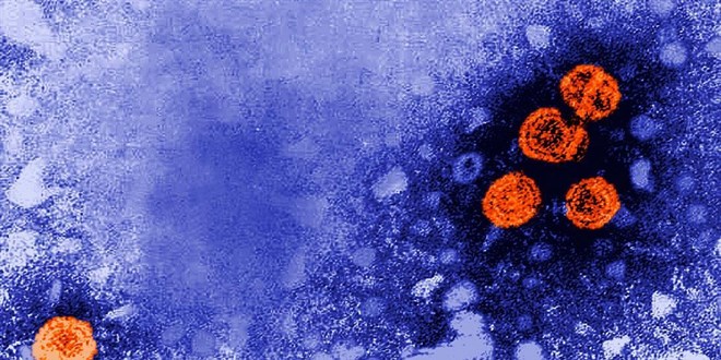 Dünyada gizemli hepatit vaka sayısı 190'a yükseldi
