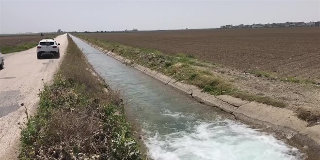 Kanalda yüzerken yaşıtı tarafından bıçaklandığı öne sürülen çocuk yaşamını yitirdi