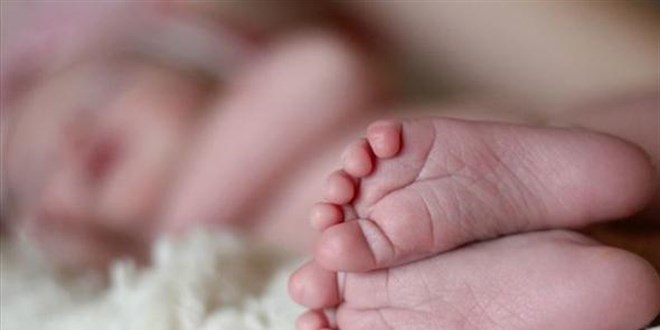 Trabzon'da 715 gram doan 'mucize bebek' Miray 299 gnde hayata tutundu