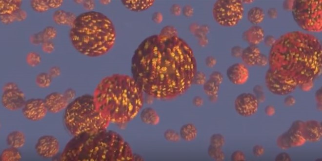 Türkiye'de gizemli hepatit vakası var mı?
