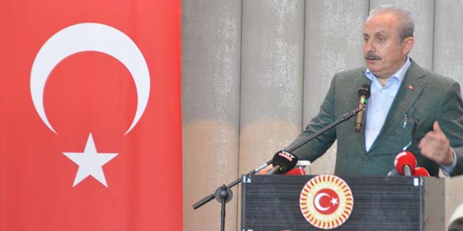Şentop: Göç küresel bir sorun ve biz bunun başlangıç aşamalarındayız