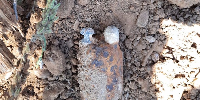 Manisa'da ormanlk arazide patlamam el bombas bulundu