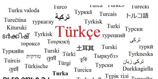 TDK Başkanı: Dil olarak İbranice de Yunanca da Çince de bizim akrabamız
