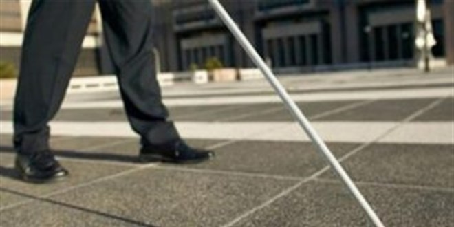 Trkiye Krler Federasyonu, engelli alanlarn zlk haklarnn geniletilmesini talep etti