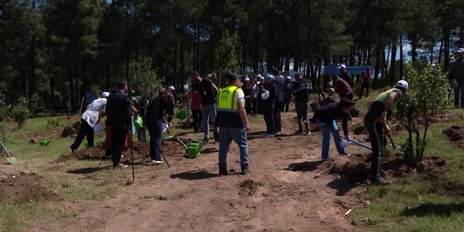 Hemşireler Pendik'te hatıra ormanı oluşturdu