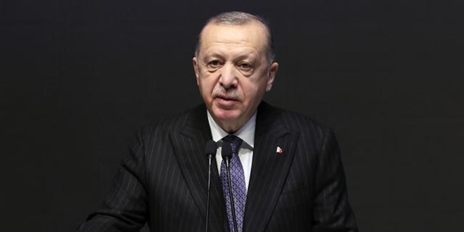 Erdoğan'dan belediyelere 'sokak hayvanları' için talimat