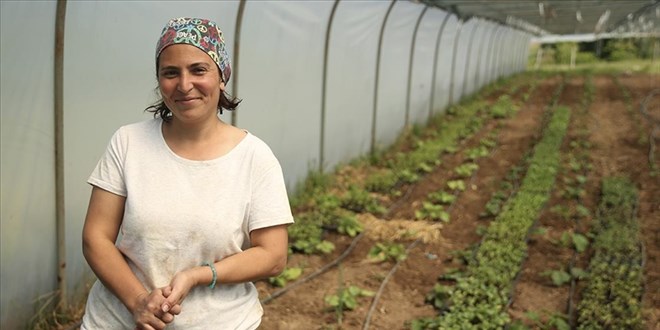 Köyüne yerleşen Necla hemşire atıl arazileri tarıma kazandırdı