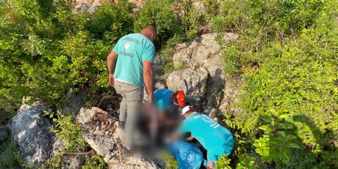 Alanya'da ormanlık alanda öldürülmüş 2 köpek bulundu