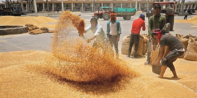 K�resel bu�day sava��: Avrupa, �in, Rusya ve Hindistan bilek g�re�inde